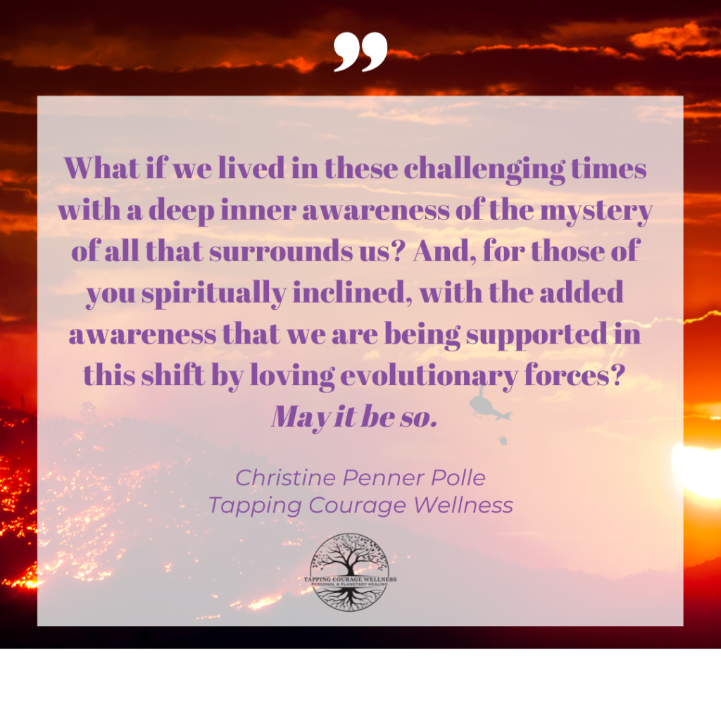 Quote "What if we lived in these challenging times with a deep awareness of the mystery of all that surrounds us? And, for those of you who are spiritually inclined, with the added awareness that we are being supported in this shift by loving evolutionary forces?" Christine Penner Polle